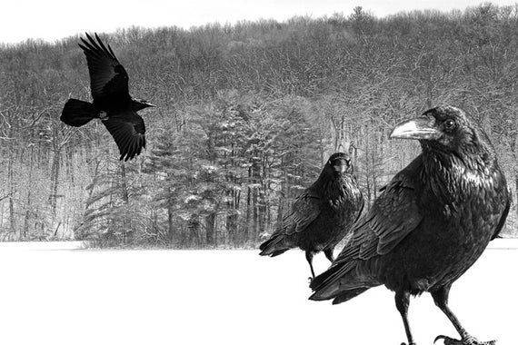 Giao dịch hiệu quả mô hình 3 Con Quạ Đen Throw Black Crows